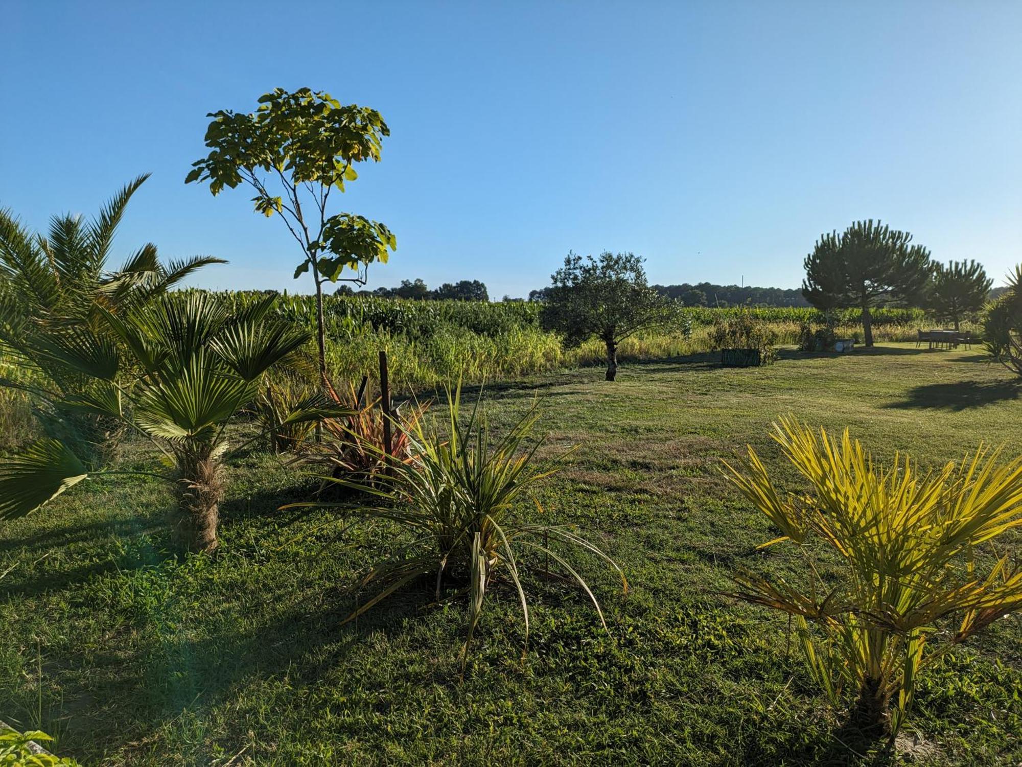 La Grange D'Hardy Villa Soustons Luaran gambar