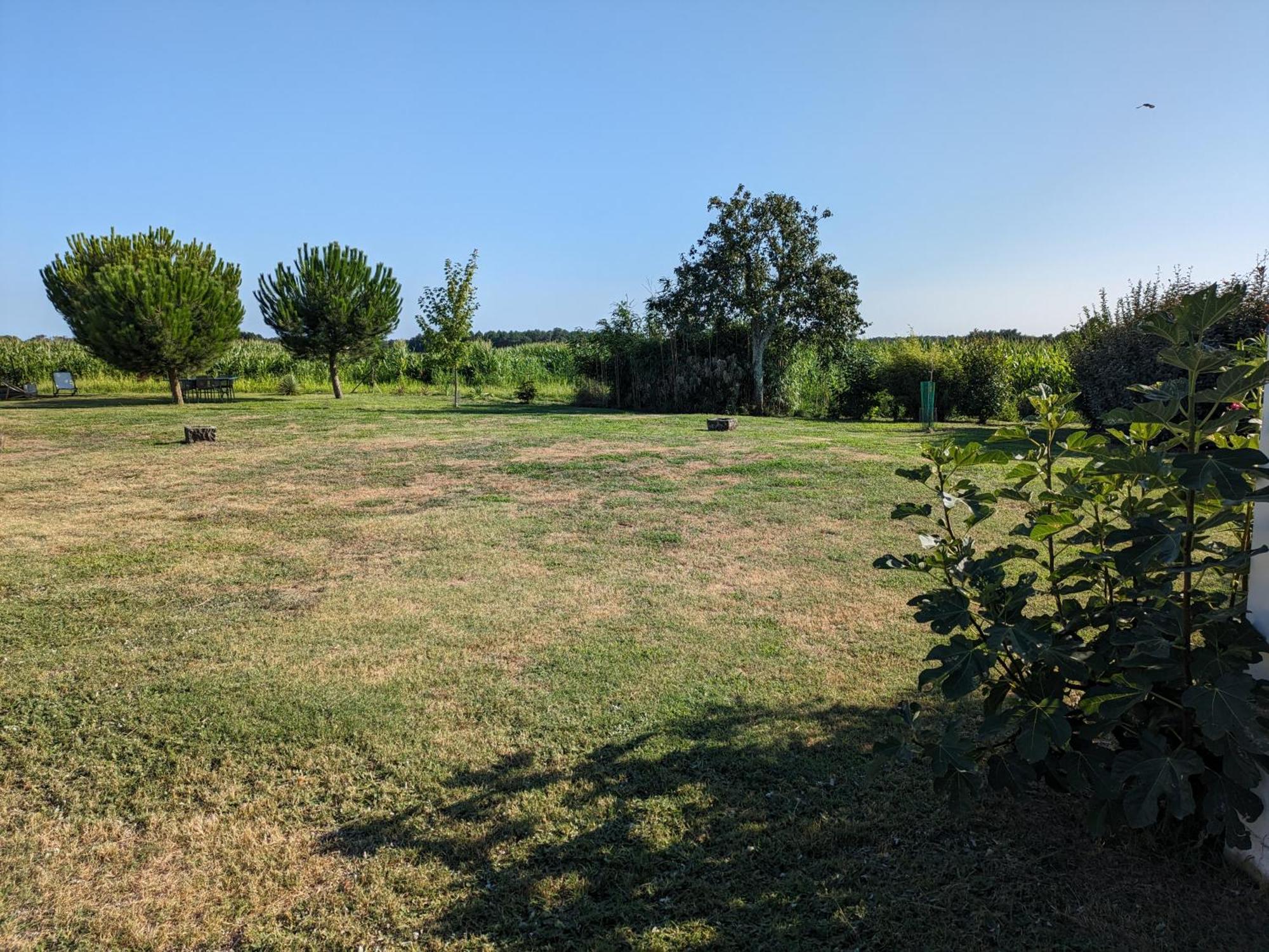 La Grange D'Hardy Villa Soustons Luaran gambar