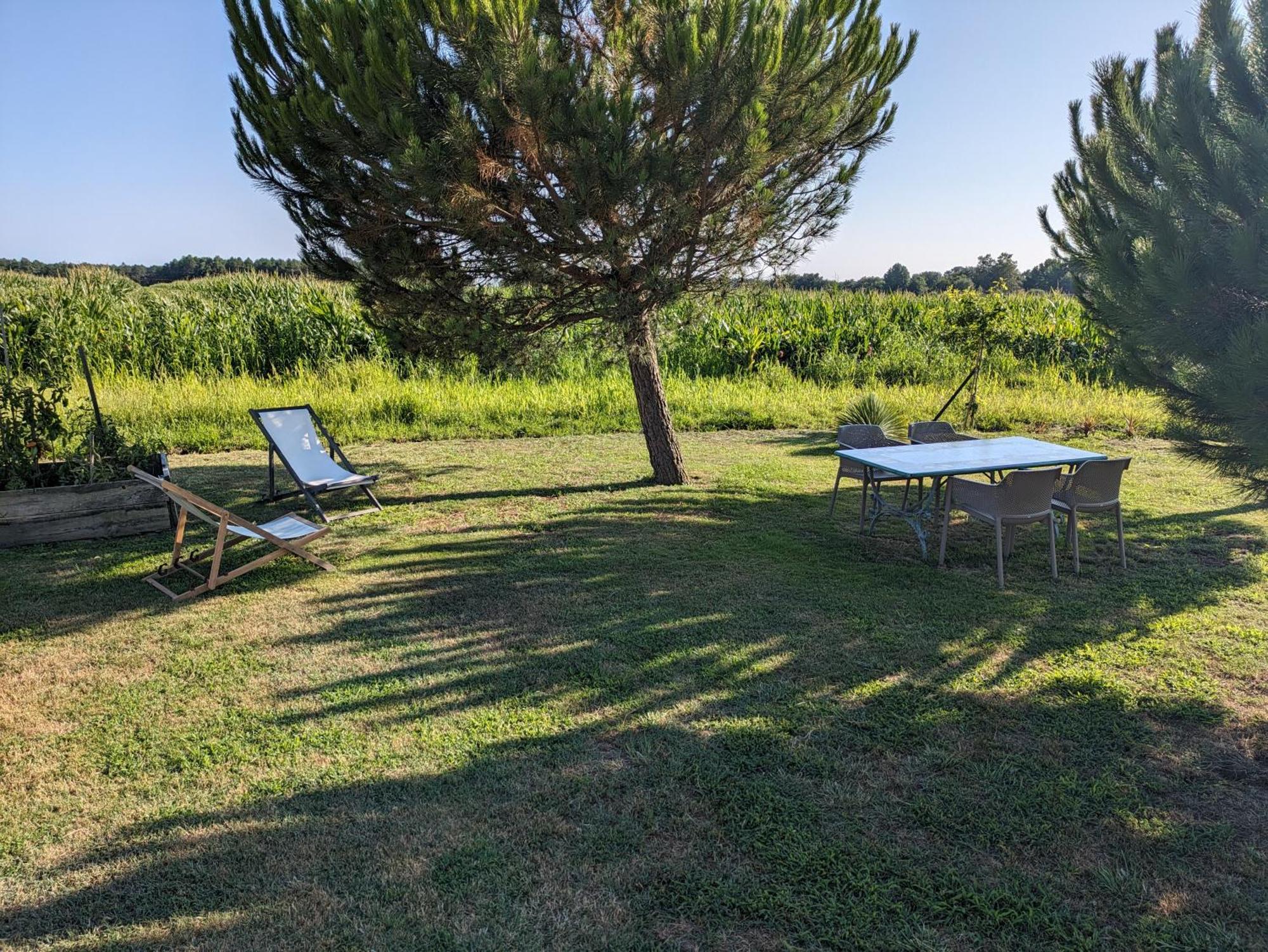 La Grange D'Hardy Villa Soustons Luaran gambar